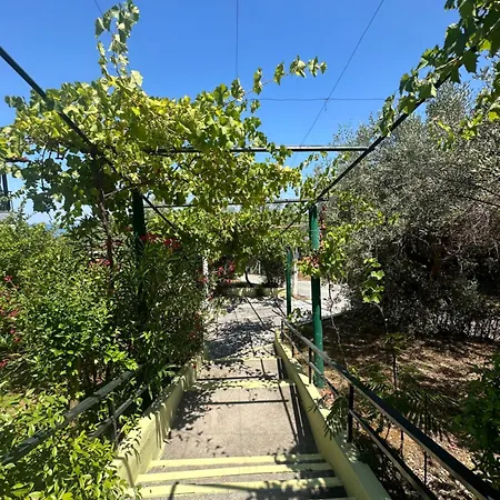 Tania Appartments アパート